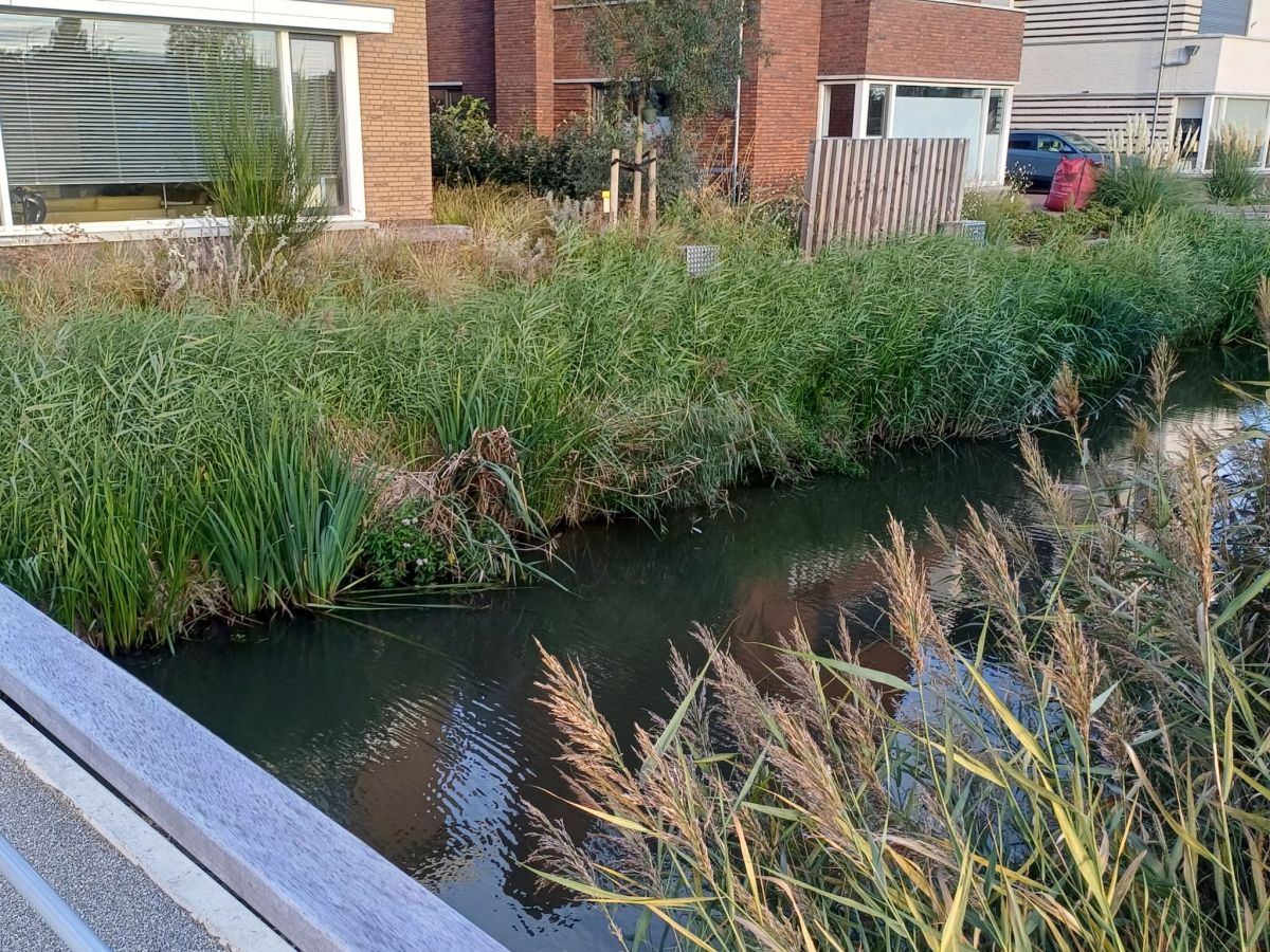 🌿 Aan de slag voor een groene én stevige oever!