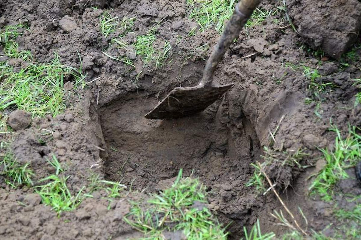 Samenwerking loonbedrijven Groene Hart met blik op de toekomst